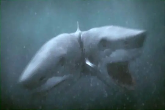 夺命双头鲨电影免费观看高清中文