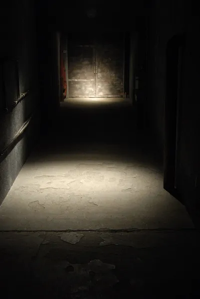 无间罪：僵尸重生电影国语版精彩集锦在线观看