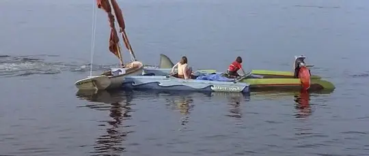 大白鲨2电影免费版高清在线观看