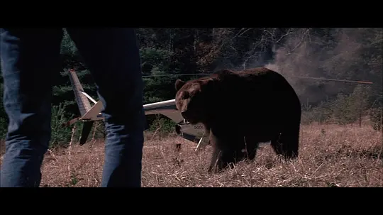 《大灰熊》电影免费在线观看高清完整版