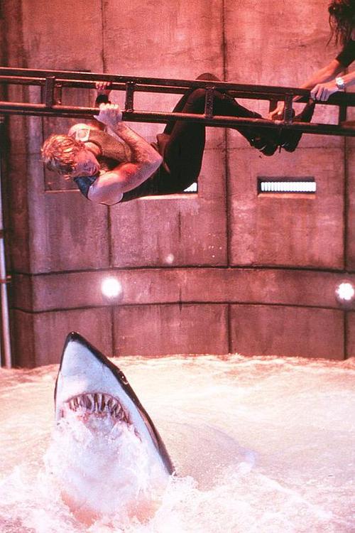 《深海狂鲨2》电影高清完整版手机在线观看