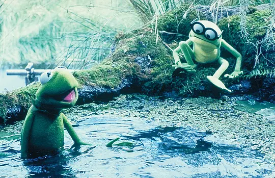 《蛙兄蛙弟闯通关》HD电影手机在线观看