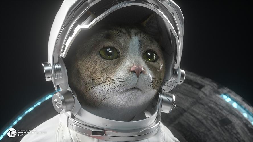 《太空朋克猫》手机在线高清观看