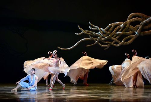 阿科波罗歌舞团完整版高清在线播放