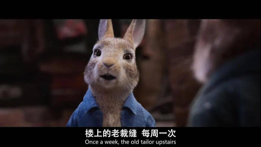 电影美国兔子的冒险