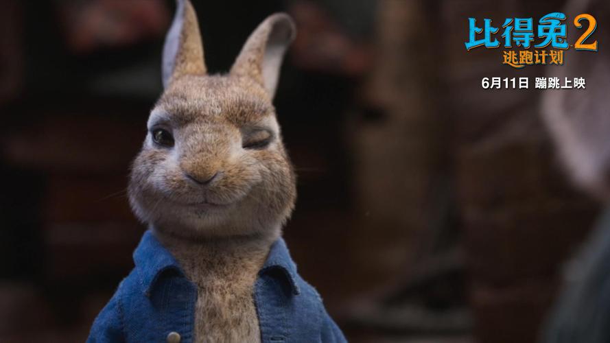 美国兔子的冒险电影在线完整观看