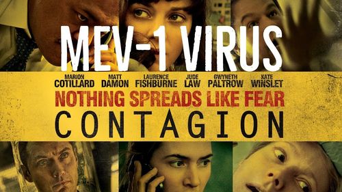 《传染病电影》免费在线观看