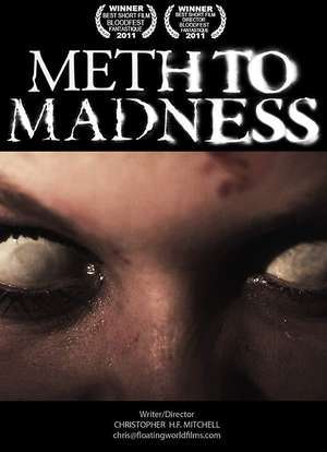 《Meth to Madness》电影免费在线观看高清完整版