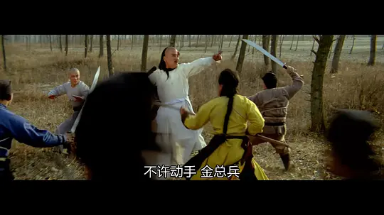 《少林拳武当剑电影》BD高清免费在线观看
