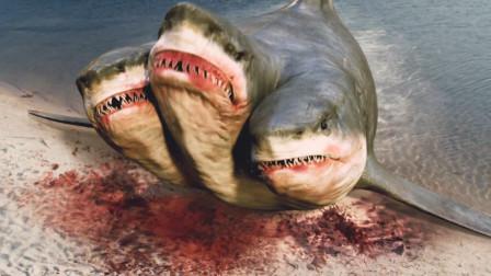 《夺命三头鲨》手机在线高清观看
