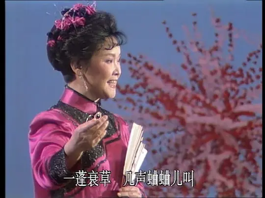 1990年中央电视台春节联欢晚会HD高清完整版视频免费观看