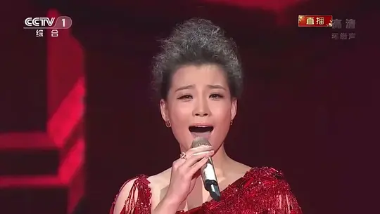 《2014年中央电视台春节联欢晚会》手机在线高清观看