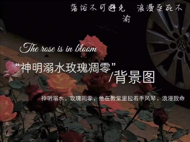 Red Rose电影高清1080P在线观看