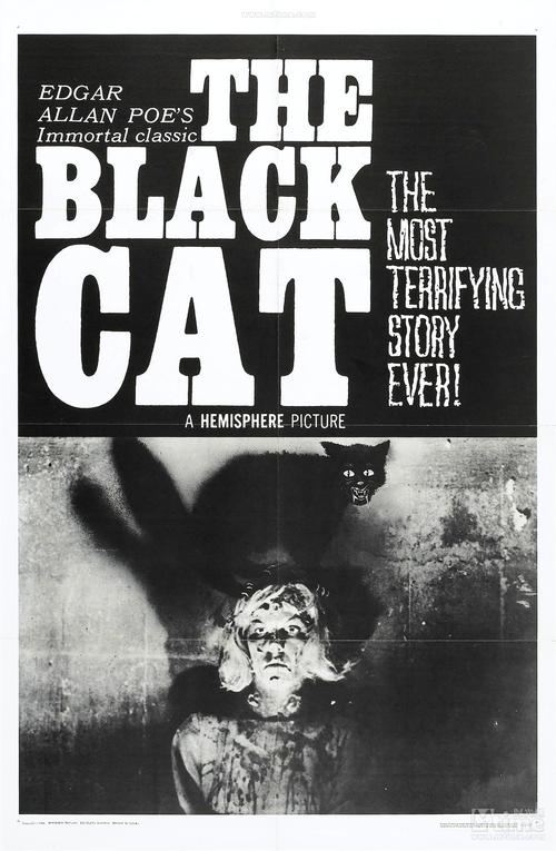 《黑猫》电影高清完整版手机在线观看