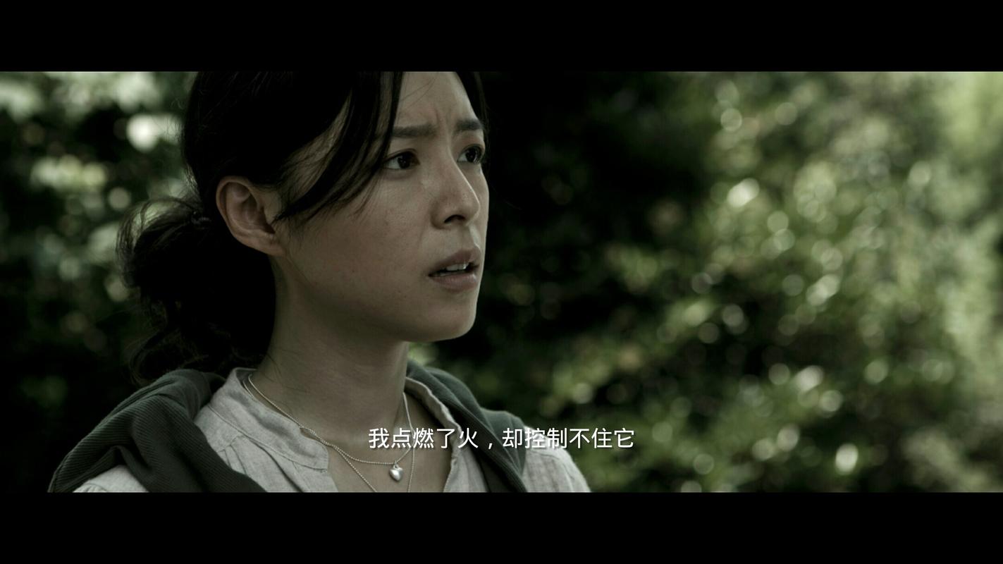 电影《Daejiui jibaeja》完整版手机在线观看