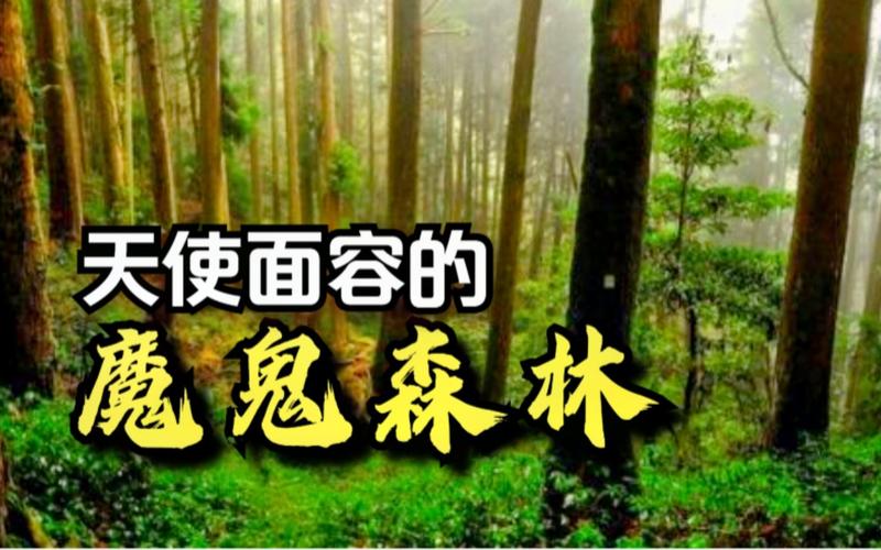 《魔鬼森林》手机在线高清观看