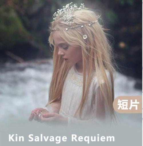 Kin Salvage Requiem免费看