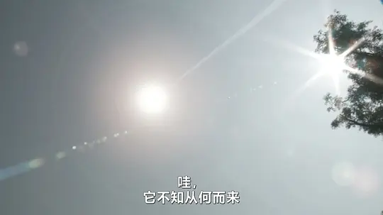 UFO在这里手机在线播放高清完整版