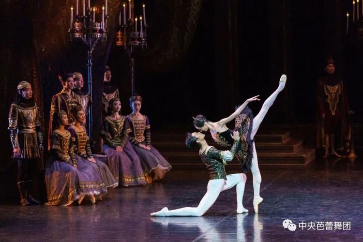 维也纳国家歌剧院芭蕾舞团《天鹅湖》在线观看免费完整版