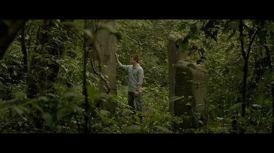 《梦呓雨林》电影高清完整版手机在线观看