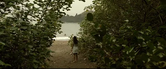 梦呓雨林电影高清1080P在线观看