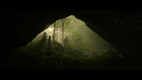 梦呓雨林电影详情