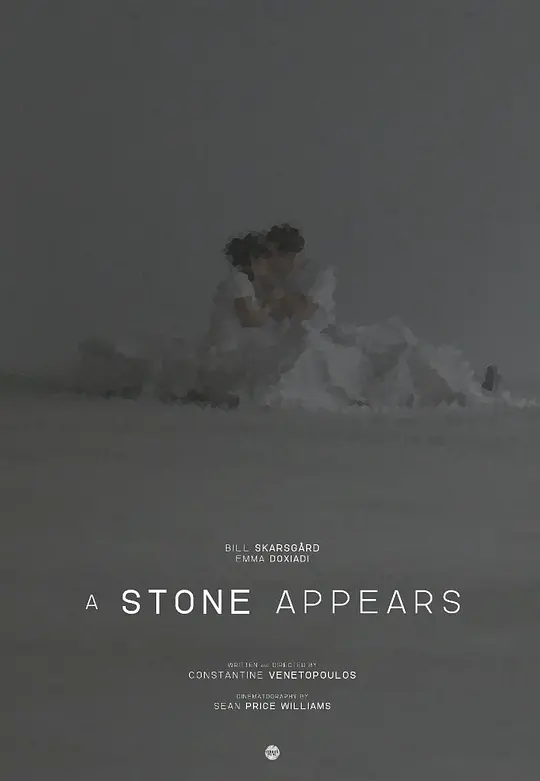 A Stone Appears电影高清下载