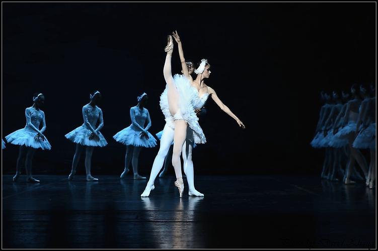 俄罗斯芭蕾，光荣传统全集免费在线观看