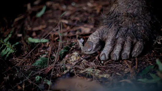 《原始狂暴：大脚怪传奇》免费在线播放