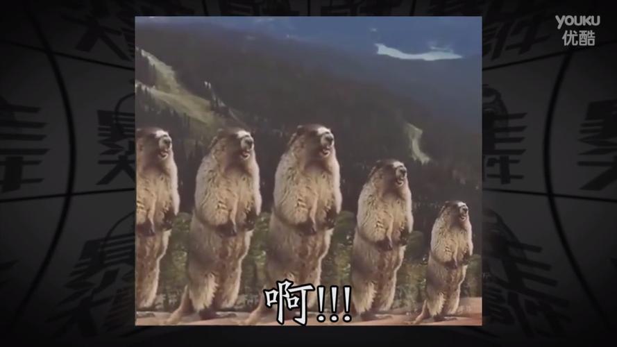 一只名叫萨沙的熊电影免费观看高清中文