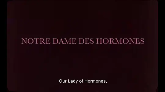 《我们的荷尔蒙女神》免费在线观看
