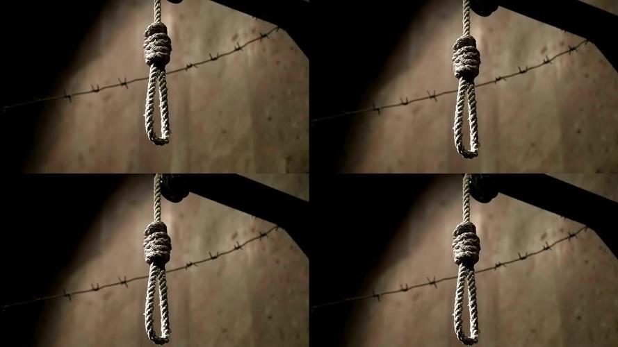 绞刑架2：二次行刑免费观看在线