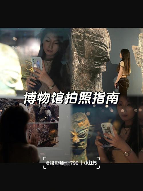 《活着的博物馆》手机在线高清观看