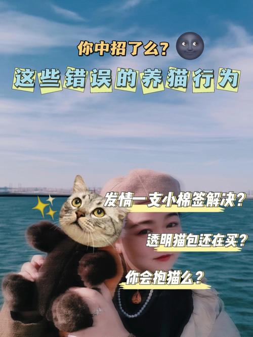 别养猫咪电影经典台词