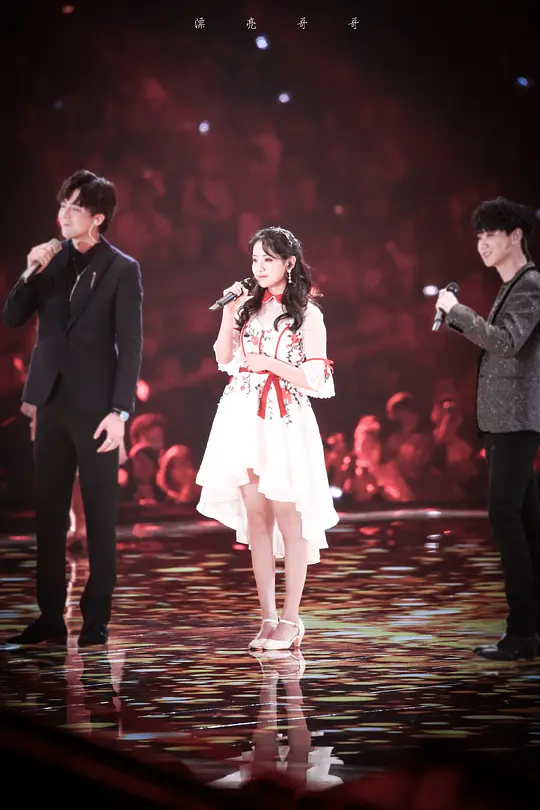 《2019江苏卫视跨年演唱会》在线观看免费完整版