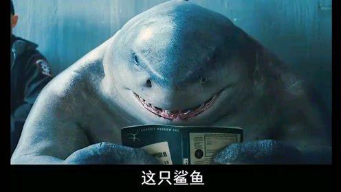 大鲨鱼电影高清1080P在线观看