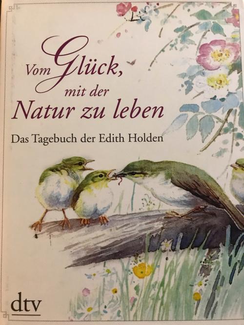 《Das Tagebuch der Grete Müller》未删减版免费播放