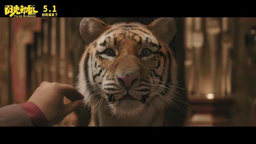 《老虎的故事电影》免费在线观看