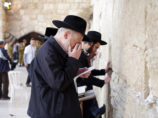 耶路撒冷的墙电影免费版高清在线观看