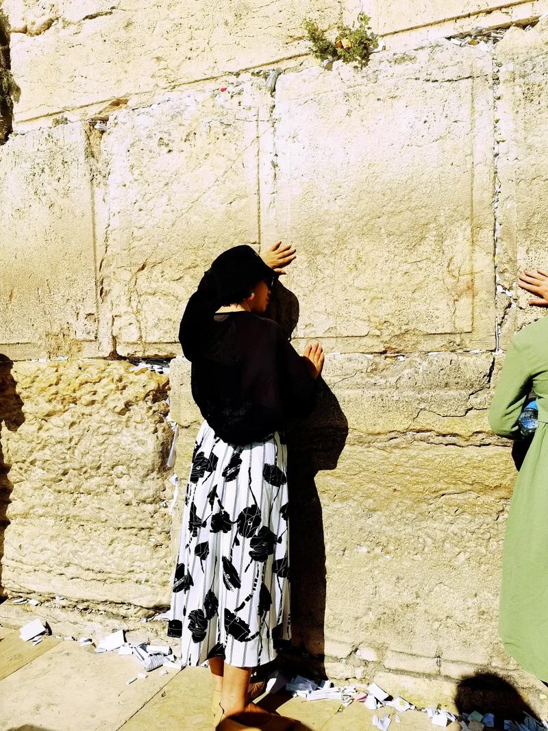 《耶路撒冷的墙》未删减版在线观看