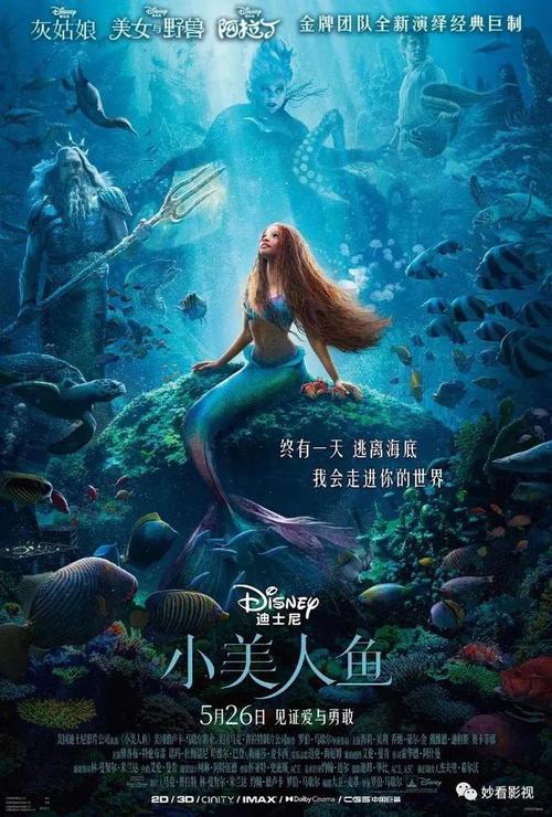 Mermaid Island电影详情