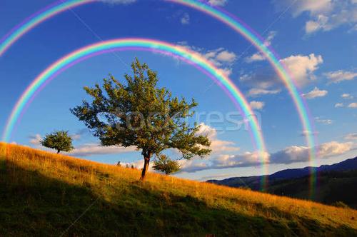 Rainbow Around the Sun深度解析