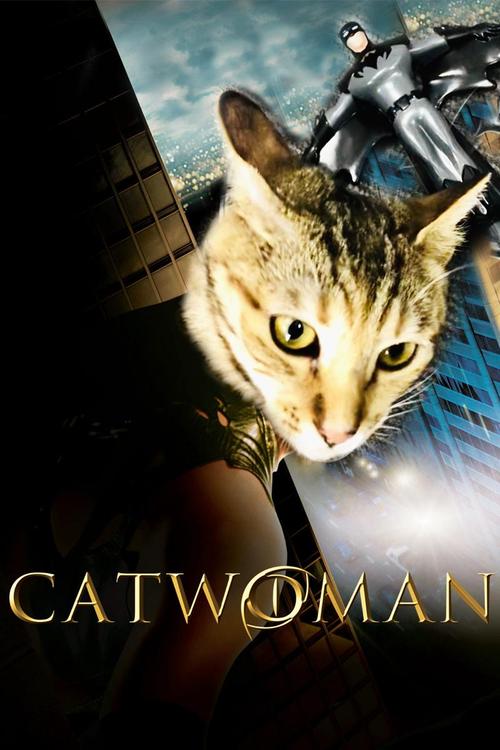 猫女电影高清下载