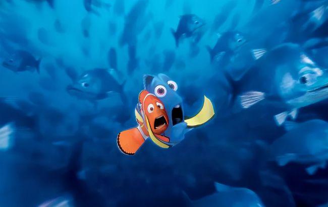 Nemo手机免费观看