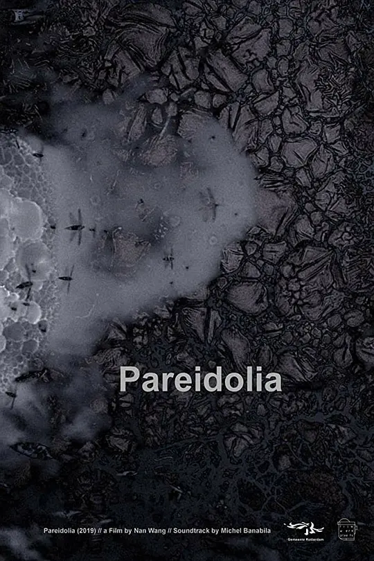 Pareidolia在线播放超高清版
