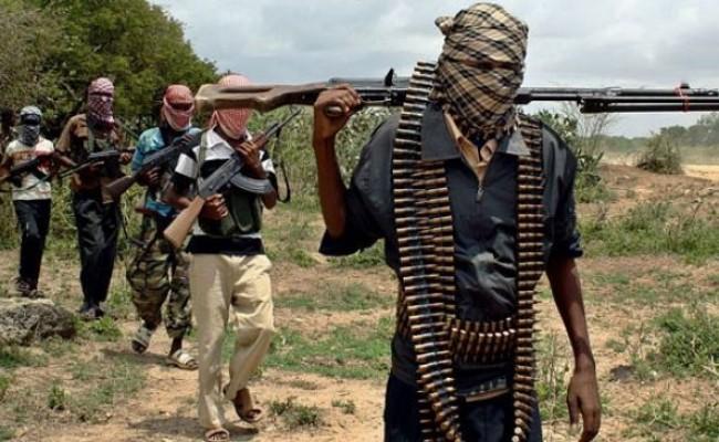 Boko Haram: Terror in Africa剧情介绍