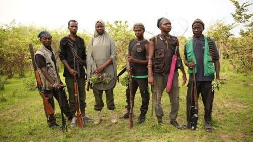 Boko Haram: Terror in Africa在线观看网盘