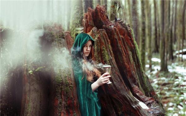 森林中的女巫在线播放超高清版