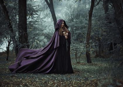 森林中的女巫免费在线观看高清版