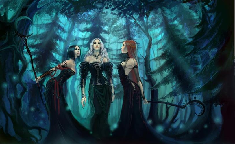 森林中的女巫高清下载